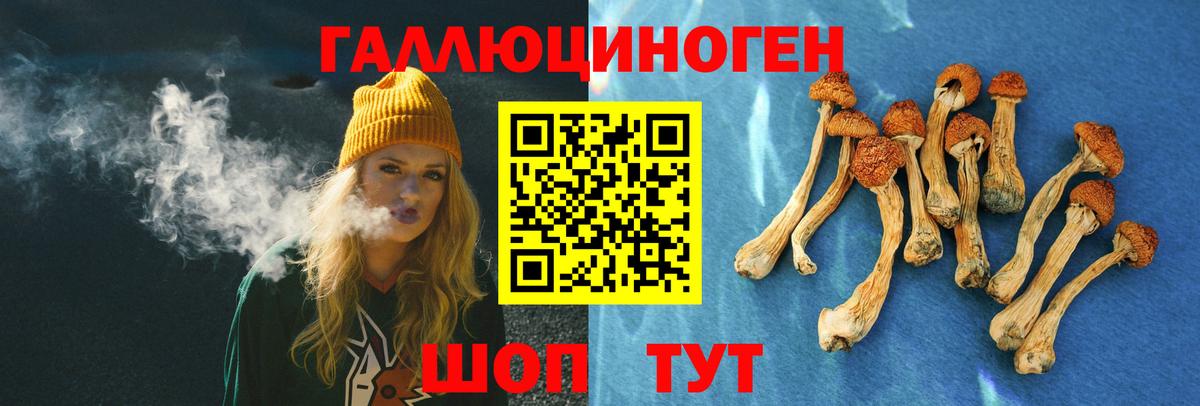 Псилоцибиновые грибы Стрежевой
