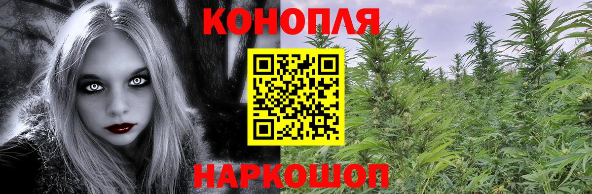 Шишки марихуана планчик  Конопля THC 21%  Стрежевой  Вход с VPN  Марихуана White Widow 